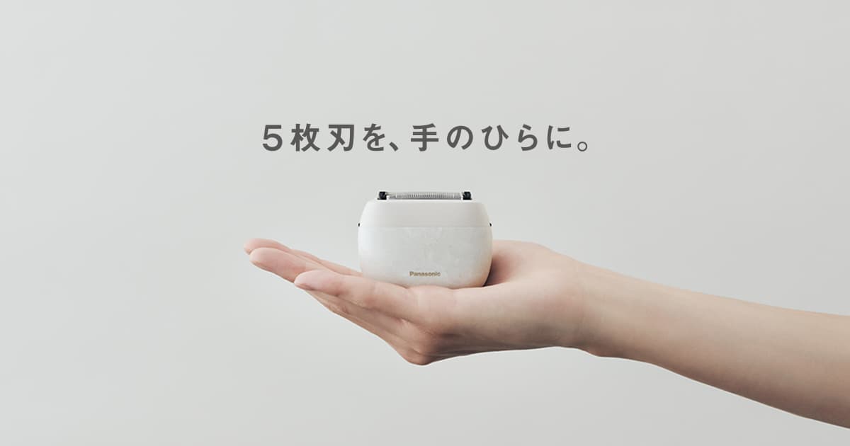 ラムダッシュ パームイン